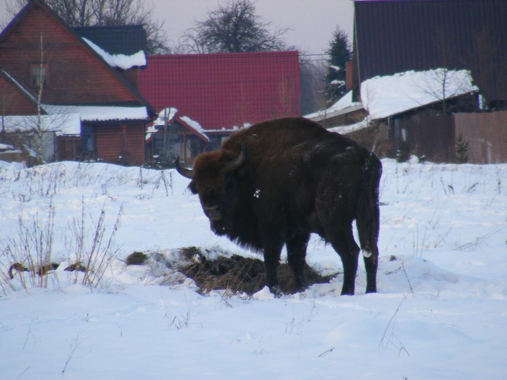 Privatunterkunft Olsik