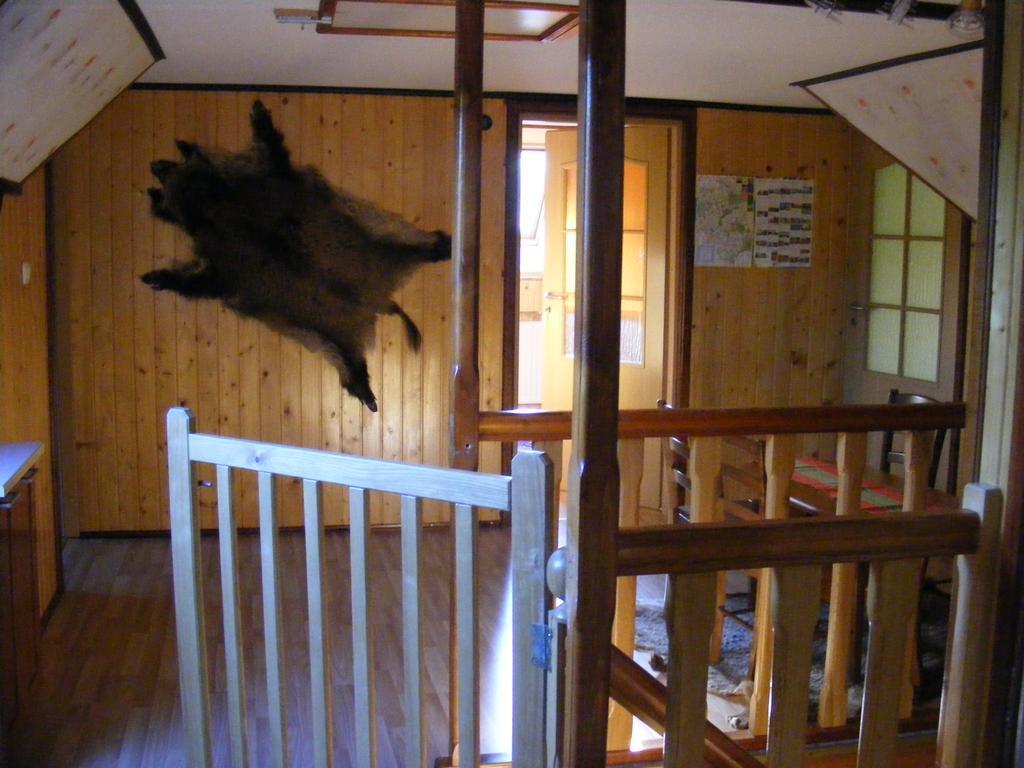 Olsik * Białowieża